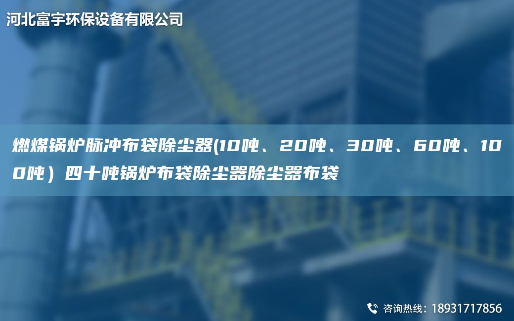 燃煤鍋爐脈沖布袋除塵器(10噸、20噸、30噸、60噸、100噸）四十噸鍋爐布袋除塵器除塵器布袋