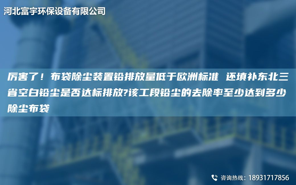 厲害了！布袋除塵裝置鉛排放量低于歐洲標(biāo)準(zhǔn) 還填補(bǔ)東北三省KB鉛塵是否達(dá)標(biāo)排放?該工段鉛塵的去除率至少達(dá)到多少除塵布袋