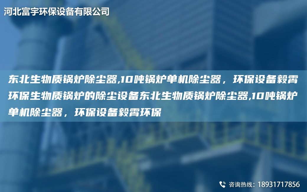 東北生物質(zhì)鍋爐除塵器,10噸鍋爐單機除塵器，環(huán)保設(shè)備毅霄環(huán)保生物質(zhì)鍋爐的除塵設(shè)備東北生物質(zhì)鍋爐除塵器,10噸鍋爐單機除塵器，環(huán)保設(shè)備毅霄環(huán)保