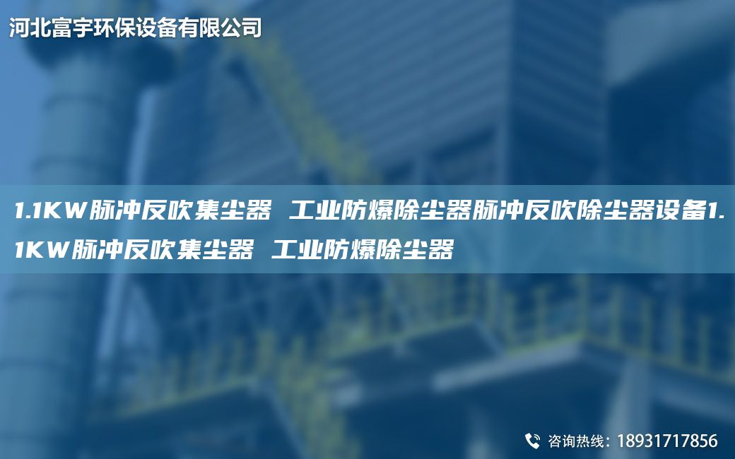 1.1KW脈沖反吹集塵器 工業(yè)防爆除塵器脈沖反吹除塵器設(shè)備1.1KW脈沖反吹集塵器 工業(yè)防爆除塵器