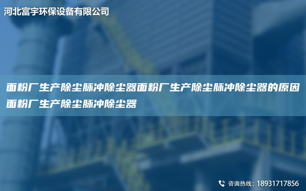 面粉廠生產除塵脈沖除塵器面粉廠生產除塵脈沖除塵器的原因面粉廠生產除塵脈沖除塵器