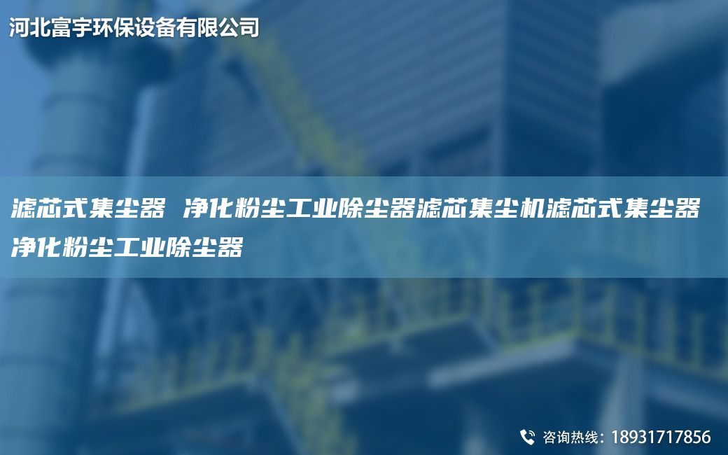 濾芯式集塵器 凈化粉塵工業(yè)除塵器濾芯集塵機(jī)濾芯式集塵器 凈化粉塵工業(yè)除塵器