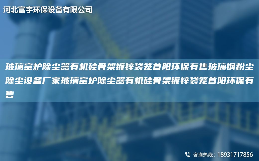 玻璃窯爐除塵器有機硅骨架鍍鋅袋籠首陽環(huán)保有售玻璃鋼粉塵除塵設(shè)備廠家玻璃窯爐除塵器有機硅骨架鍍鋅袋籠首陽環(huán)保有售