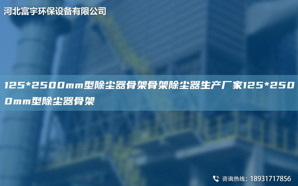 125*2500mm型除塵器骨架骨架除塵器生產(chǎn)廠家125*2500mm型除塵器骨架