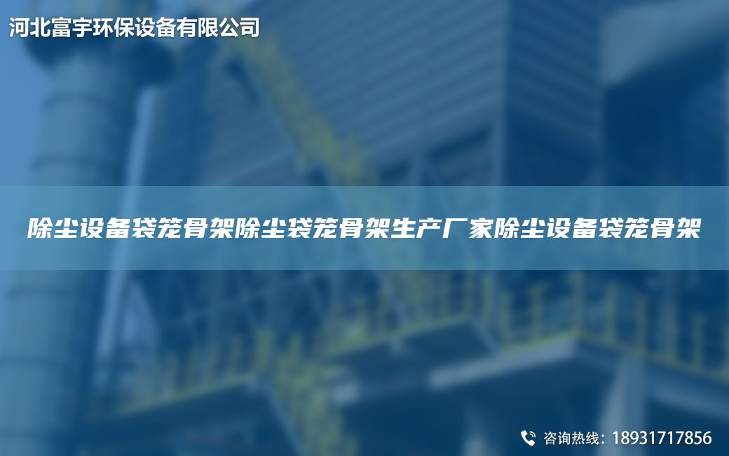 除塵設(shè)備袋籠骨架除塵袋籠骨架生產(chǎn)廠家除塵設(shè)備袋籠骨架
