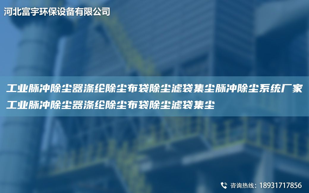 工業(yè)脈沖除塵器滌綸除塵布袋除塵濾袋集塵脈沖除塵系統(tǒng)廠家工業(yè)脈沖除塵器滌綸除塵布袋除塵濾袋集塵