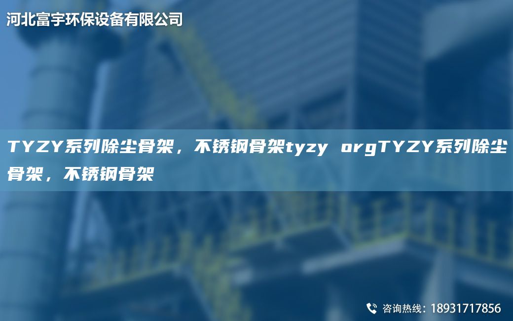TYZY系列除塵骨架，不銹鋼骨架tyzy orgTYZY系列除塵骨架，不銹鋼骨架