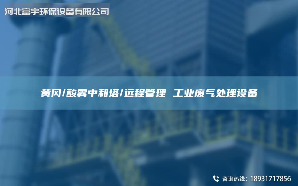 黃岡/酸霧中和塔/遠程管理 工業(yè)廢氣處理設(shè)備