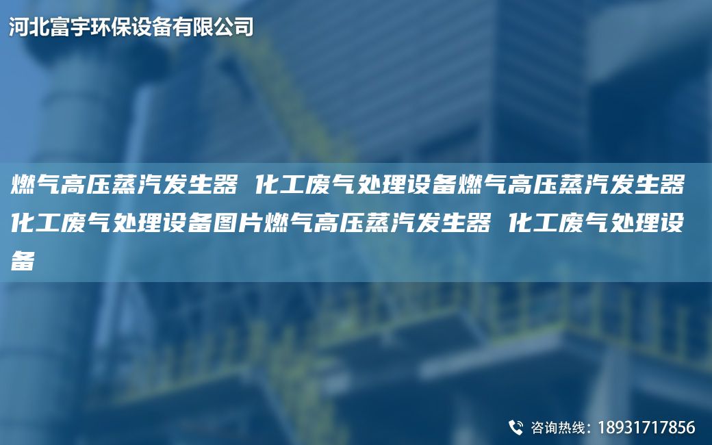 燃?xì)飧邏赫羝l(fā)生器 化工廢氣處理設(shè)備燃?xì)飧邏赫羝l(fā)生器 化工廢氣處理設(shè)備圖片燃?xì)飧邏赫羝l(fā)生器 化工廢氣處理設(shè)備