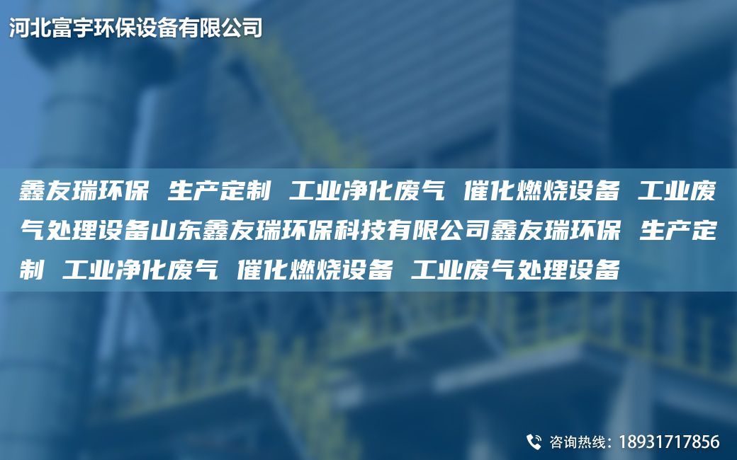 富宇環(huán)保 生產(chǎn)定制 工業(yè)凈化廢氣 催化燃燒設(shè)備 工業(yè)廢氣處理設(shè)備山東富宇環(huán)?？萍加邢薰靖挥瞽h(huán)保 生產(chǎn)定制 工業(yè)凈化廢氣 催化燃燒設(shè)備 工業(yè)廢氣處理設(shè)備