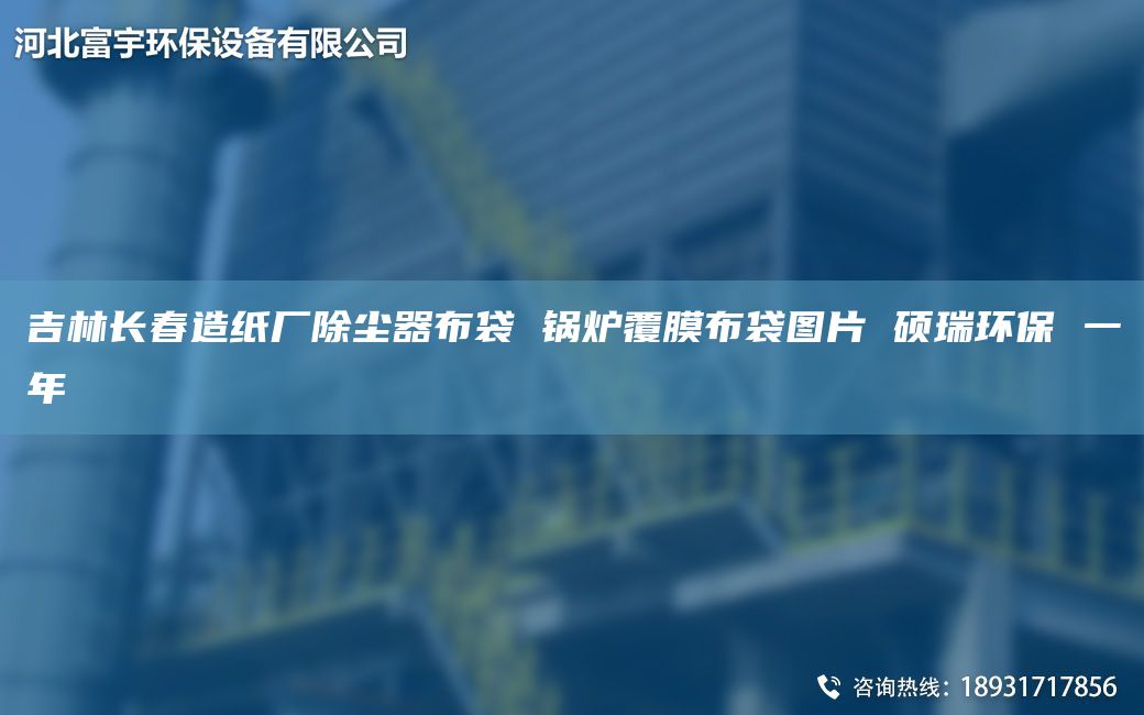 吉林長春造紙廠除塵器布袋 鍋爐覆膜布袋圖片 碩瑞環(huán)保 一NA