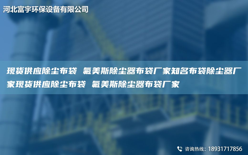 現(xiàn)貨供應(yīng)除塵布袋 氟美斯除塵器布袋廠家知M布袋除塵器廠家現(xiàn)貨供應(yīng)除塵布袋 氟美斯除塵器布袋廠家