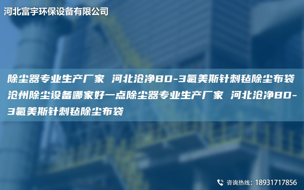 除塵器專業(yè)生產(chǎn)廠家 河北滄凈BD-3氟美斯針刺氈除塵布袋滄州除塵設(shè)備哪家好一點(diǎn)除塵器專業(yè)生產(chǎn)廠家 河北滄凈BD-3氟美斯針刺氈除塵布袋