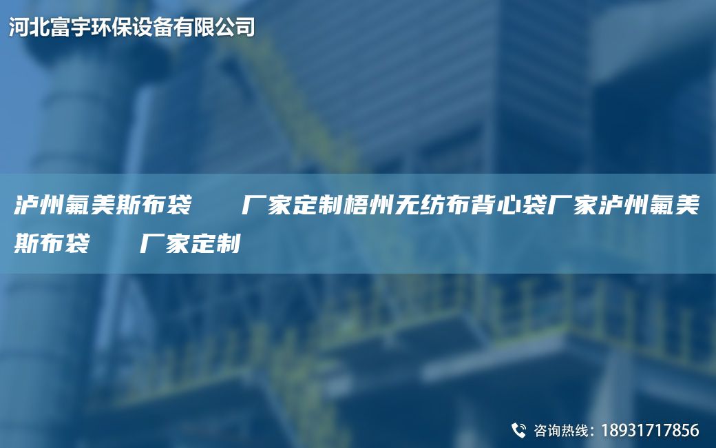 瀘州氟美斯布袋   廠家定制梧州無(wú)紡布背心袋廠家瀘州氟美斯布袋   廠家定制