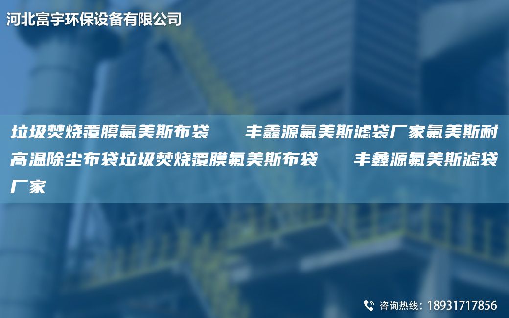垃圾焚燒覆膜氟美斯布袋   豐鑫源氟美斯濾袋廠家氟美斯耐高溫除塵布袋垃圾焚燒覆膜氟美斯布袋   豐鑫源氟美斯濾袋廠家