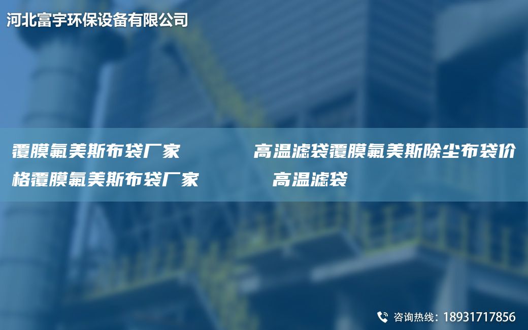 覆膜氟美斯布袋廠家      高溫濾袋覆膜氟美斯除塵布袋價(jià)格覆膜氟美斯布袋廠家      高溫濾袋
