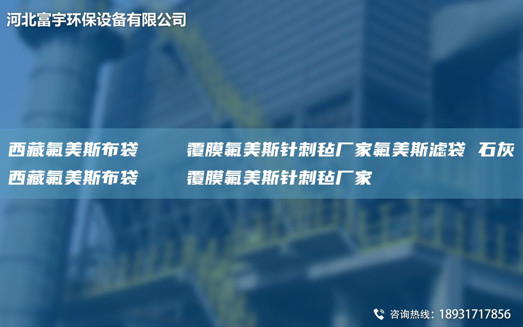 西藏氟美斯布袋    覆膜氟美斯針刺氈廠家氟美斯濾袋 石灰西藏氟美斯布袋    覆膜氟美斯針刺氈廠家