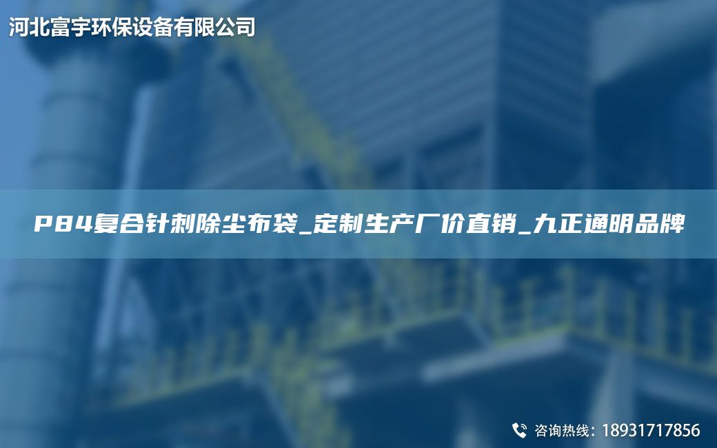 P84復(fù)合針刺除塵布袋_定制生產(chǎn)廠(chǎng)價(jià)直銷(xiāo)_九正通明PP