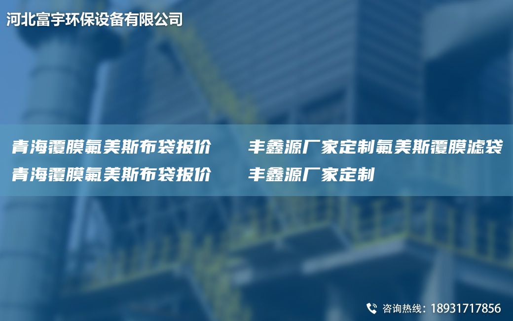 青海覆膜氟美斯布袋報(bào)價(jià)   豐鑫源廠家定制氟美斯覆膜濾袋青海覆膜氟美斯布袋報(bào)價(jià)   豐鑫源廠家定制