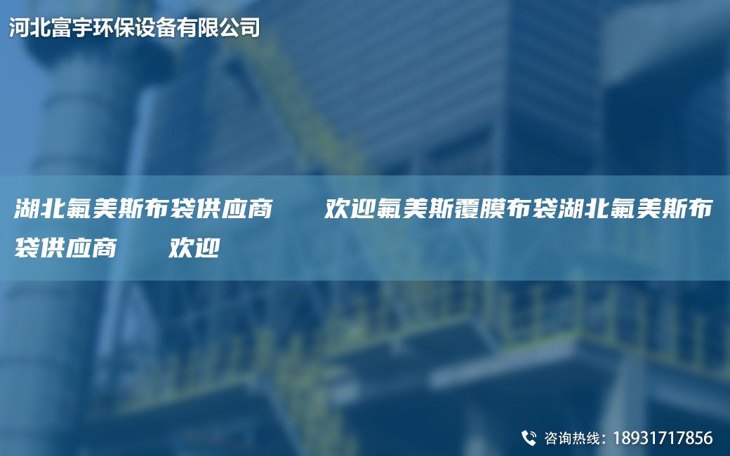 湖北氟美斯布袋供應(yīng)商   歡迎氟美斯覆膜布袋湖北氟美斯布袋供應(yīng)商   歡迎