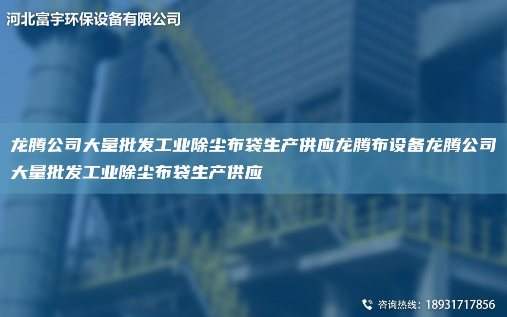 龍騰公司大量批發(fā)工業(yè)除塵布袋生產(chǎn)供應(yīng)龍騰布設(shè)備龍騰公司大量批發(fā)工業(yè)除塵布袋生產(chǎn)供應(yīng)