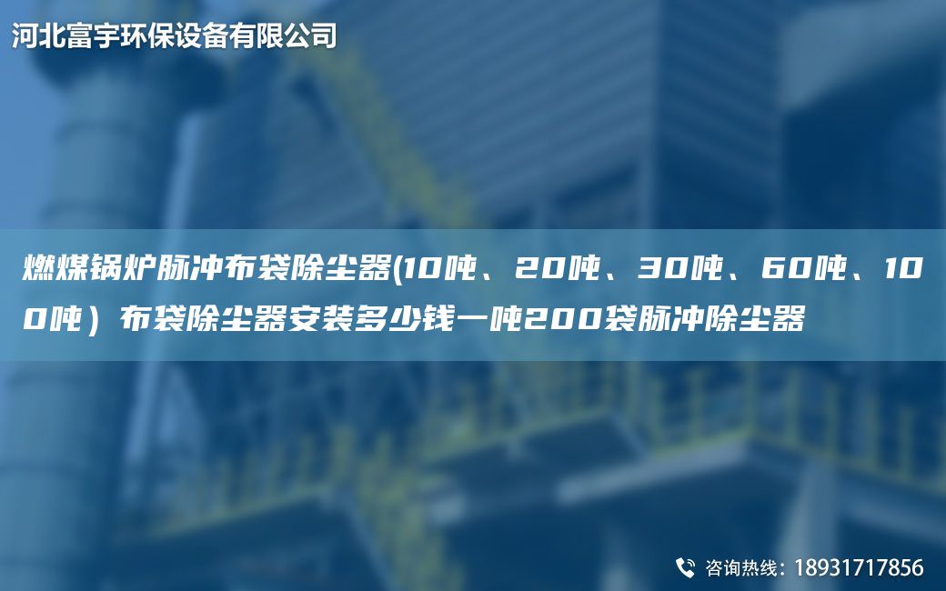 燃煤鍋爐脈沖布袋除塵器(10噸、20噸、30噸、60噸、100噸）布袋除塵器安裝多少錢一噸200袋脈沖除塵器