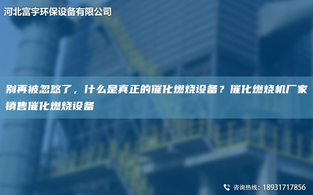 別再被忽悠了，什么是真正的催化燃燒設(shè)備？催化燃燒機(jī)廠家銷售催化燃燒設(shè)備