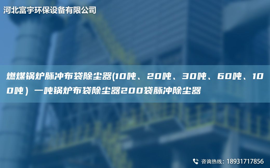 燃煤鍋爐脈沖布袋除塵器(10噸、20噸、30噸、60噸、100噸）一噸鍋爐布袋除塵器200袋脈沖除塵器