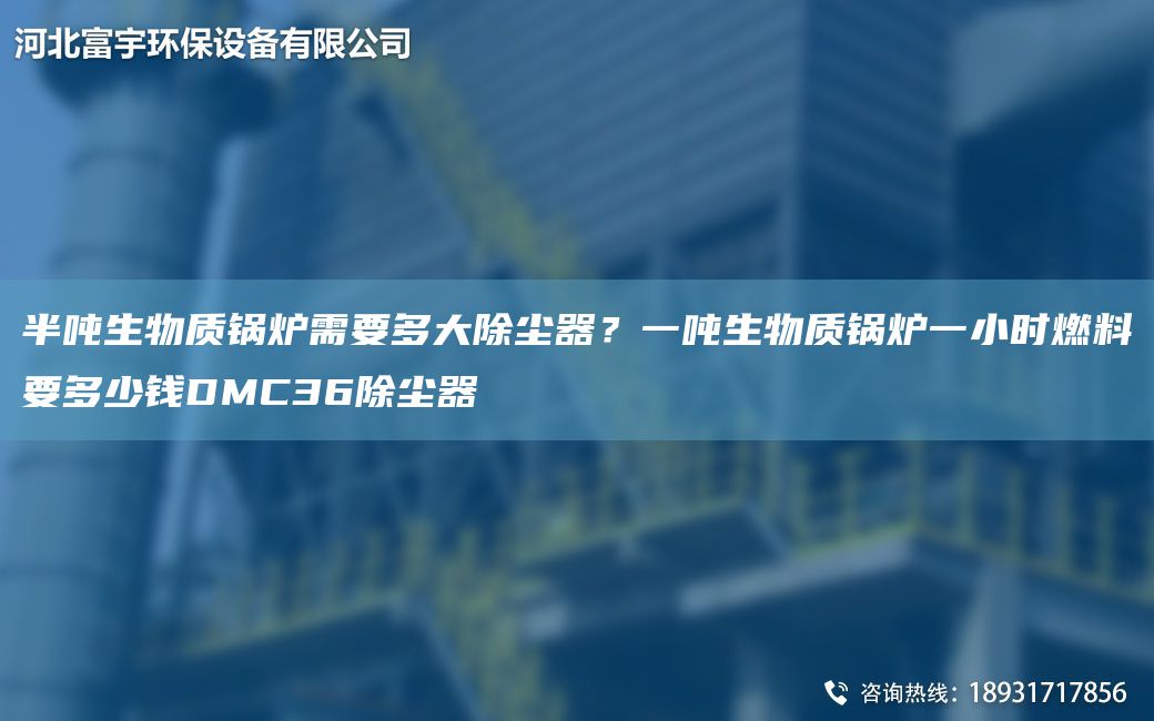 半噸生物質(zhì)鍋爐需要多大除塵器？一噸生物質(zhì)鍋爐一小時燃料要多少錢DMC36除塵器