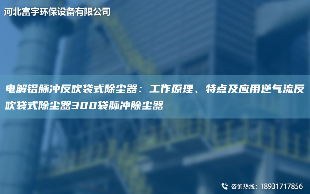 電解鋁脈沖反吹袋式除塵器：工作原理、特點(diǎn)及應(yīng)用逆氣流反吹袋式除塵器300袋脈沖除塵器
