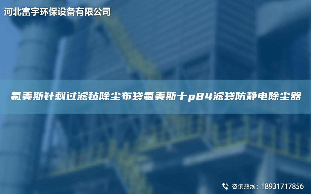 氟美斯針刺過濾氈除塵布袋氟美斯十p84濾袋防靜電除塵器