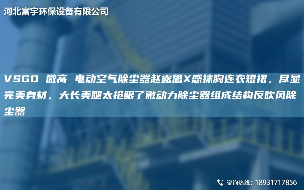 VSGO 微高 電動空氣除塵器趙露思X感抹胸連衣短裙，盡顯WM身材，大長美腿太搶眼了微動力除塵器組成結(jié)構(gòu)反吹風(fēng)除塵器