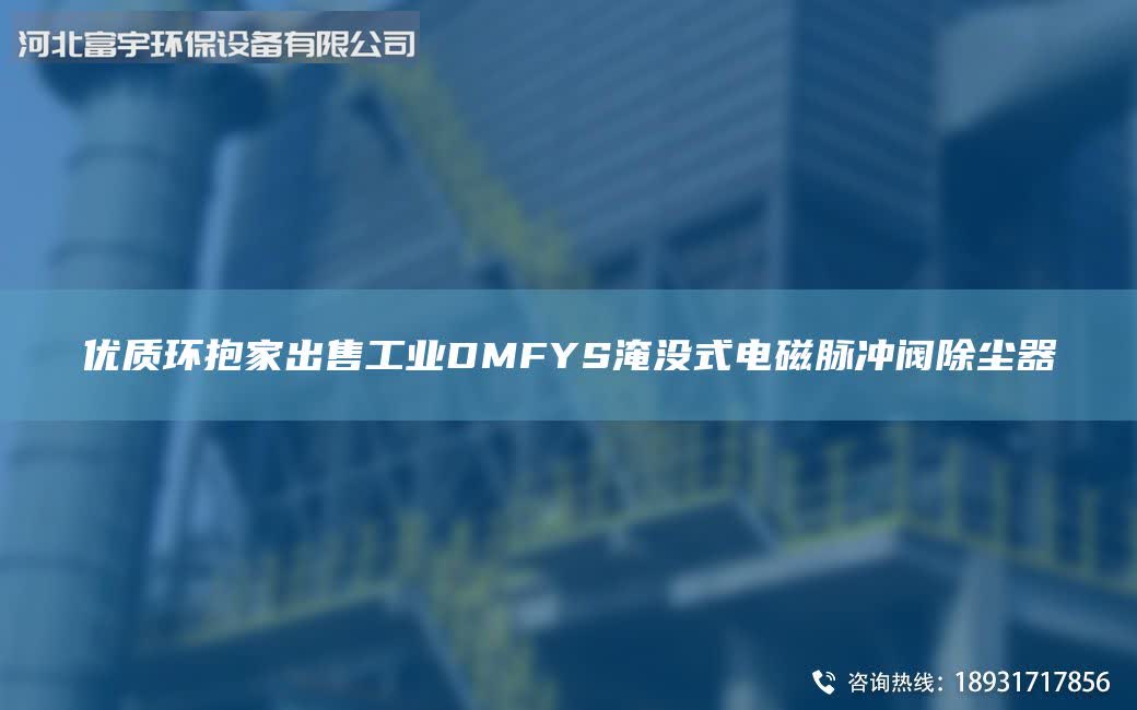 優(yōu)質(zhì)環(huán)抱家出售工業(yè)DMFYS淹沒式電磁脈沖閥除塵器