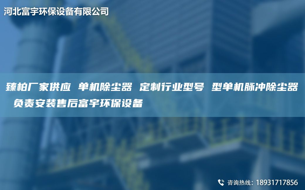 臻柏廠家供應(yīng) 單機(jī)除塵器 定制行業(yè)型號(hào) 型單機(jī)脈沖除塵器 負(fù)責(zé)安裝售后富宇環(huán)保設(shè)備