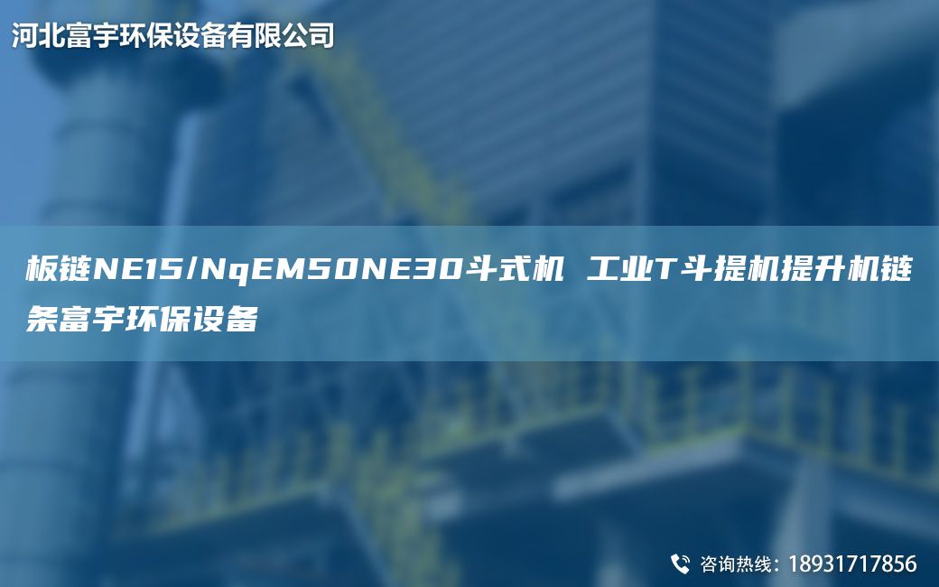 板鏈NE15/NqEM50NE30斗式機(jī) 工業(yè)T斗提機(jī)提升機(jī)鏈條富宇環(huán)保設(shè)備