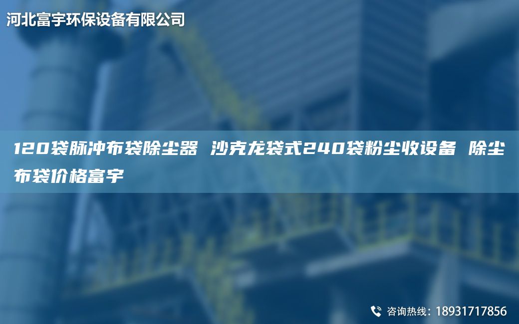120袋脈沖布袋除塵器 沙克龍袋式240袋粉塵收設(shè)備 除塵布袋價(jià)格富宇