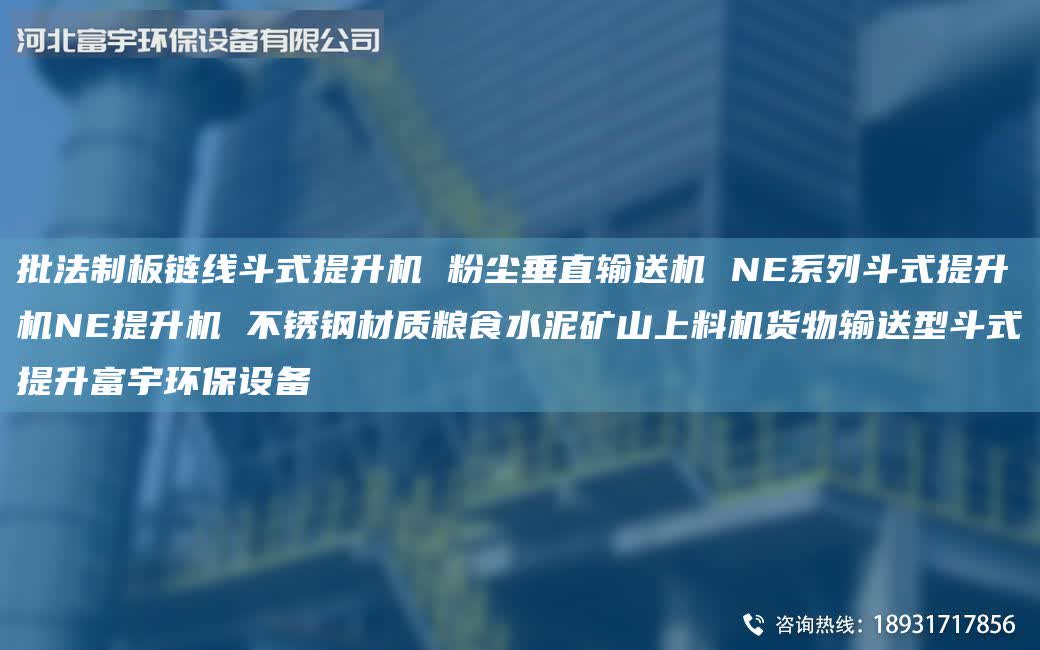 批法制板鏈線斗式提升機(jī) 粉塵垂直輸送機(jī) NE系列斗式提升機(jī)NE提升機(jī) 不銹鋼材質(zhì)糧食水泥礦山上料機(jī)貨物輸送型斗式提升富宇環(huán)保設(shè)備