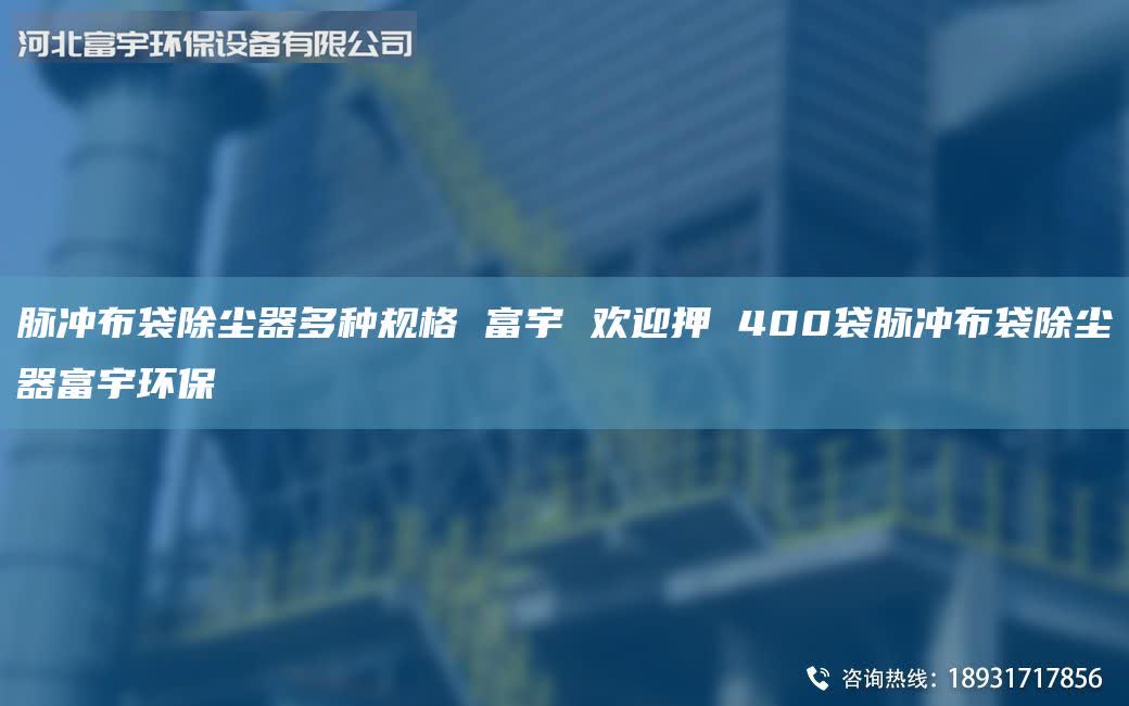 脈沖布袋除塵器多種規(guī)格 富宇 歡迎押 400袋脈沖布袋除塵器富宇環(huán)保