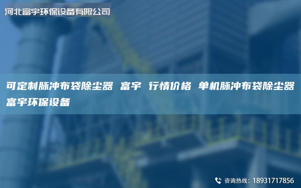 可定制脈沖布袋除塵器 富宇 行情價(jià)格 單機(jī)脈沖布袋除塵器富宇環(huán)保設(shè)備