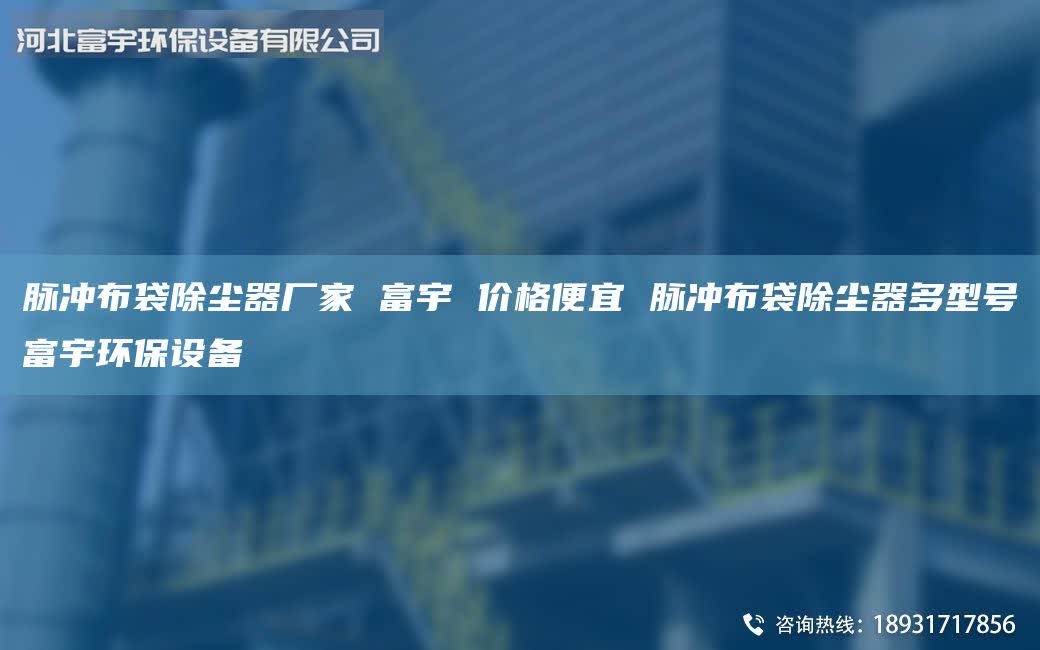 脈沖布袋除塵器廠家 富宇 價格便宜 脈沖布袋除塵器多型號富宇環(huán)保設(shè)備