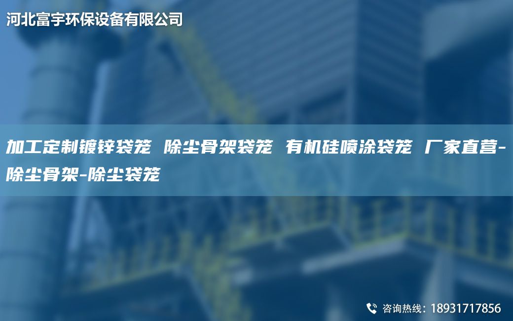 加工定制鍍鋅袋籠 除塵骨架袋籠 有機(jī)硅噴涂袋籠 廠家直營(yíng)-除塵骨架-除塵袋籠
