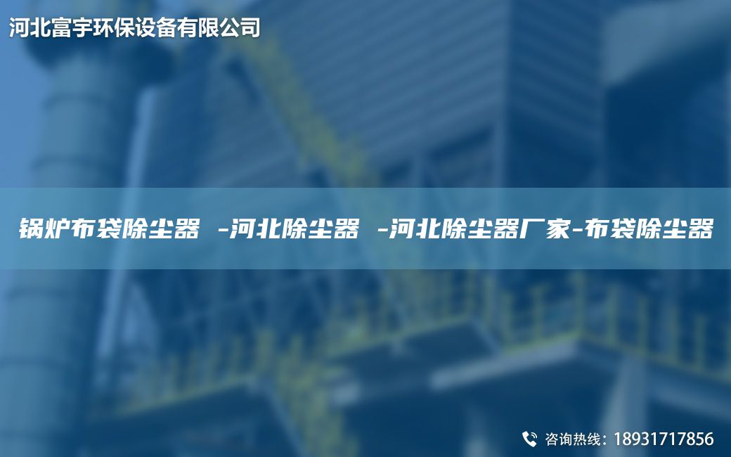鍋爐布袋除塵器 -河北除塵器 -河北除塵器廠家-布袋除塵器
