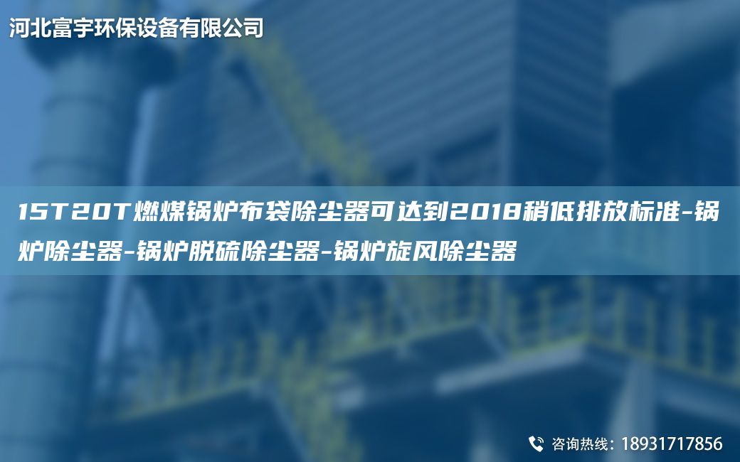 15T20T燃煤鍋爐布袋除塵器可達到2018稍低排放標準-鍋爐除塵器-鍋爐脫硫除塵器-鍋爐旋風除塵器