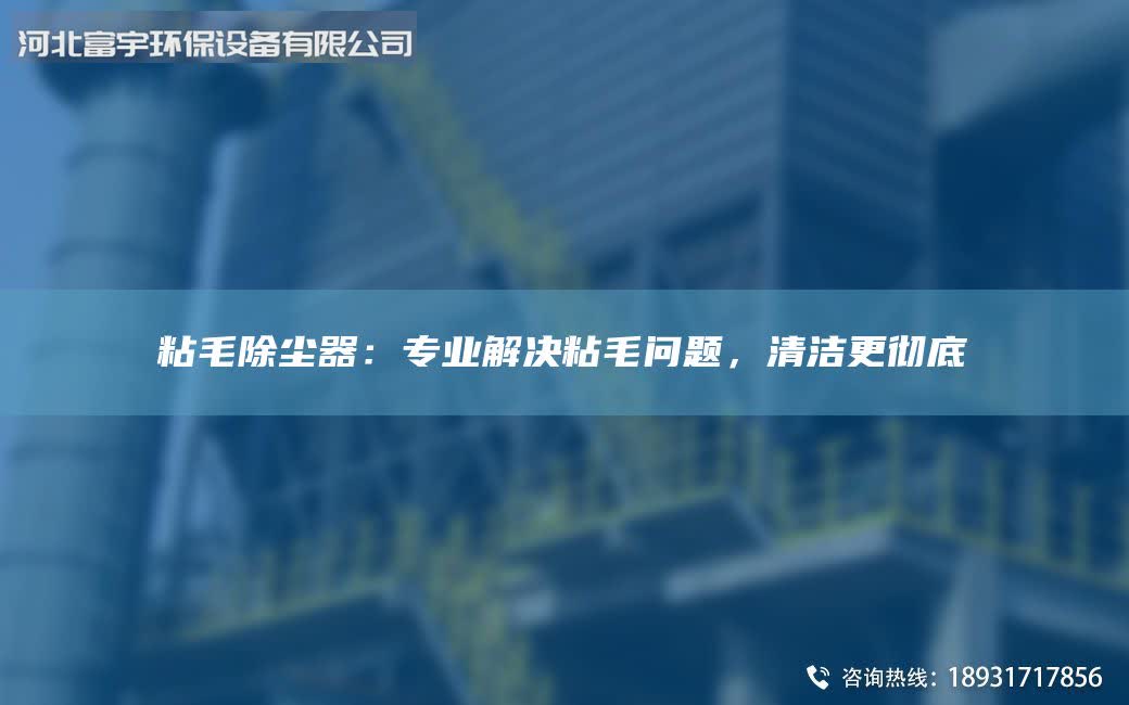 粘毛除塵器：專業(yè)解決粘毛問(wèn)題，清潔更徹底