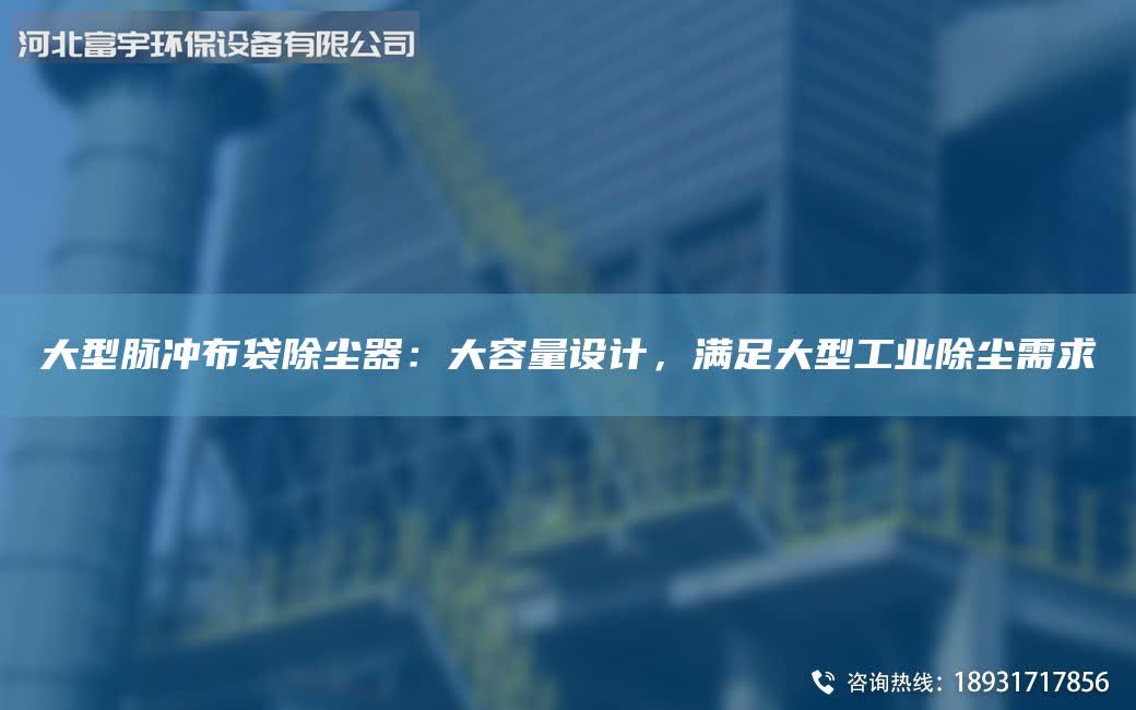 大型脈沖布袋除塵器：大容量設(shè)計(jì)，滿足大型工業(yè)除塵需求