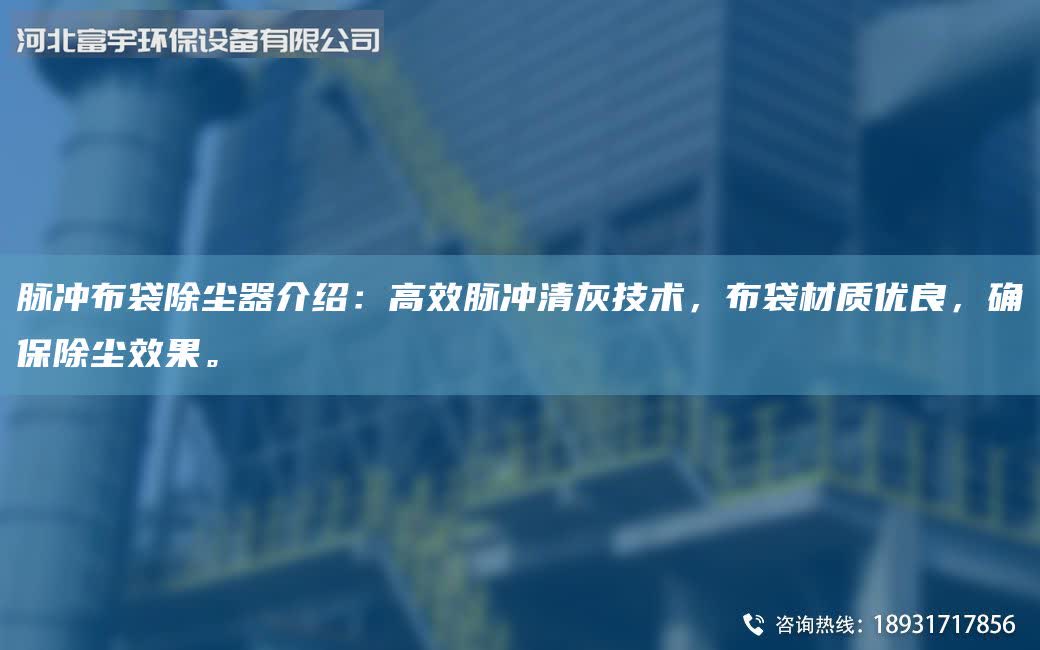 脈沖布袋除塵器介紹：高效脈沖清灰技術(shù)，布袋材質(zhì)優(yōu)良，確保除塵效果。